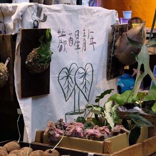 日式門簾設計29